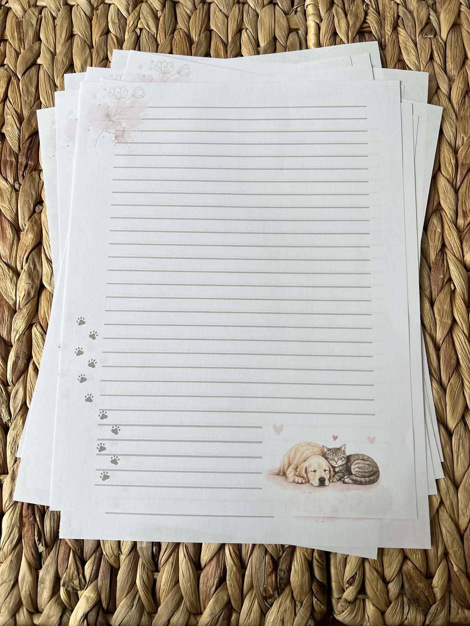 Cozy Companions Simple Set